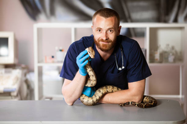 Veterinário animais silvestres em Belo Horizonte